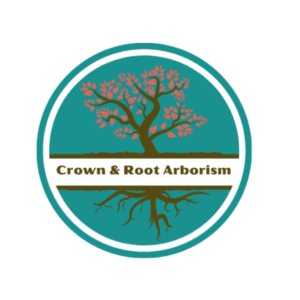 Crown and Root Arborism