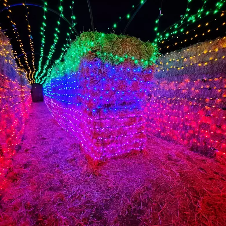 Christmas light maze